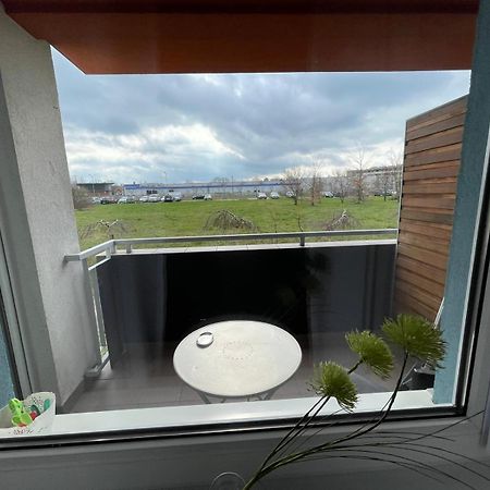 Apartament Ogrody コウォブジェク エクステリア 写真